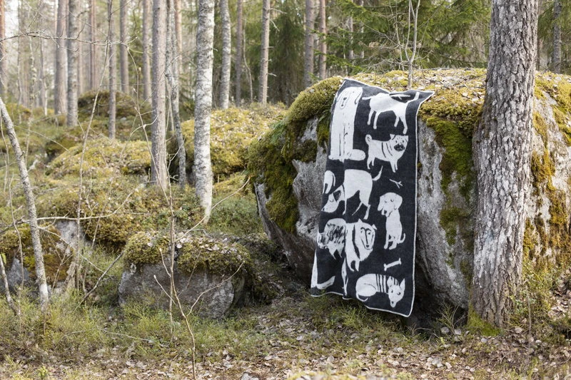 Lapuan Kankurit Koirapuisto Huopa - Image 4